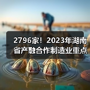 2796家！2023年湖南省产融合作制造业重点企业（图2）