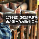 2796家！2023年湖南省产融合作制造业重点企业（图4）