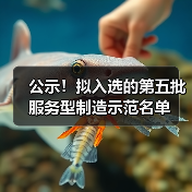 公示！拟入选的第五批服务型制造示范名单（图3）