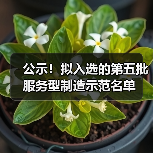 公示！拟入选的第五批服务型制造示范名单（图2）