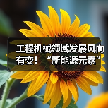 工程机械领域发展风向有变！“新能源元素”加速融入（图1）