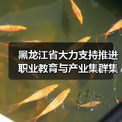 黑龙江省大力支持推进职业教育与产业集群集聚融合发展（图3）