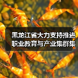 黑龙江省大力支持推进职业教育与产业集群集聚融合发展（图4）