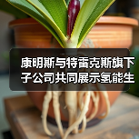康明斯与特雷克斯旗下子公司共同展示氢能生态系统(图3) 康明斯与特雷克斯旗下子公司共同展示氢能生态系统(图3)