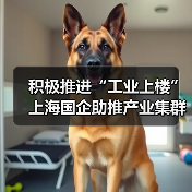 积极推进“工业上楼” 上海国企助推产业集群集聚集约发展(图4) 积极推进“工业上楼” 上海国企助推产业集群集聚集约发展(图4)