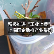 积极推进“工业上楼” 上海国企助推产业集群集聚集约发展(图2) 积极推进“工业上楼” 上海国企助推产业集群集聚集约发展(图2)