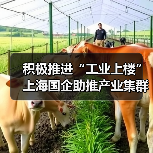 积极推进“工业上楼” 上海国企助推产业集群集聚集约发展(图3) 积极推进“工业上楼” 上海国企助推产业集群集聚集约发展(图3)