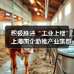 积极推进“工业上楼” 上海国企助推产业集群集聚集约发展(图1) 积极推进“工业上楼” 上海国企助推产业集群集聚集约发展(图1)