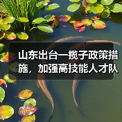 山东出台一揽子政策措施,加强高技能人才队伍建设(图3) 山东出台一揽子政策措施,加强高技能人才队伍建设(图3)