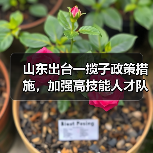 山东出台一揽子政策措施,加强高技能人才队伍建设(图1) 山东出台一揽子政策措施,加强高技能人才队伍建设(图1)