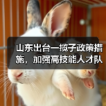 山东出台一揽子政策措施,加强高技能人才队伍建设(图4) 山东出台一揽子政策措施,加强高技能人才队伍建设(图4)