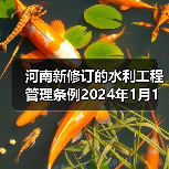 河南新修订的水利工程管理条例2024年1月1日起施行(图4) 河南新修订的水利工程管理条例2024年1月1日起施行(图4)