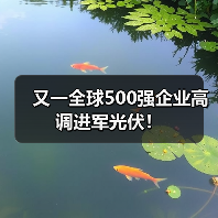 又一全球500强企业高调进军光伏！（图4）