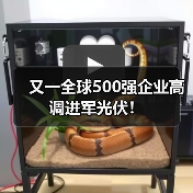 又一全球500强企业高调进军光伏！（图1）