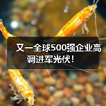 又一全球500强企业高调进军光伏！（图2）