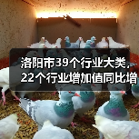 洛阳市39个行业大类，22个行业增加值同比增长（图4）