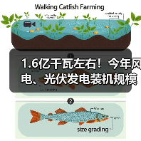 1.6亿千瓦左右！今年风电、光伏发电装机规模再提升（图2）