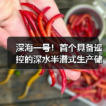 深海一号！首个具备遥控的深水半潜式生产储油平台（图2）