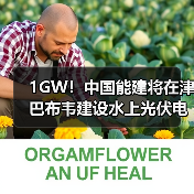 1GW！中国能建将在津巴布韦建设水上光伏电站（图4）