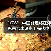 1GW！中国能建将在津巴布韦建设水上光伏电站（图3）