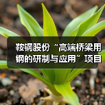 鞍钢股份“高端桥梁用钢的研制与应用”项目成果通过鉴定(图2) 鞍钢股份“高端桥梁用钢的研制与应用”项目成果通过鉴定(图2)