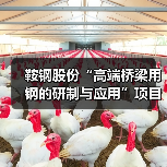 鞍钢股份“高端桥梁用钢的研制与应用”项目成果通过鉴定(图1) 鞍钢股份“高端桥梁用钢的研制与应用”项目成果通过鉴定(图1)