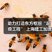 助力打造东方枢纽“超级工程” 上海建工加速推进工程建设(图4) 助力打造东方枢纽“超级工程” 上海建工加速推进工程建设(图4)