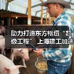助力打造东方枢纽“超级工程” 上海建工加速推进工程建设(图3) 助力打造东方枢纽“超级工程” 上海建工加速推进工程建设(图3)