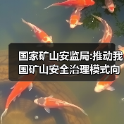 国家矿山安监局:推动我国矿山安全治理模式向事前预防转型(图1) 国家矿山安监局:推动我国矿山安全治理模式向事前预防转型(图1)