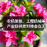 农机装备、工程机械等产业链供需对接会在无锡召开（图4）