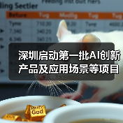 深圳启动第一批AI创新产品及应用场景等项目需求征集!(图3) 深圳启动第一批AI创新产品及应用场景等项目需求征集!(图3)