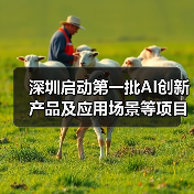 深圳启动第一批AI创新产品及应用场景等项目需求征集!(图1) 深圳启动第一批AI创新产品及应用场景等项目需求征集!(图1)