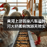 黄河上游首座八车道跨河大桥即将跨越天险实现“牵手”(图3) 黄河上游首座八车道跨河大桥即将跨越天险实现“牵手”(图3)