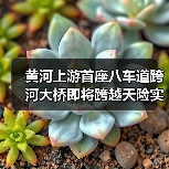 黄河上游首座八车道跨河大桥即将跨越天险实现“牵手”(图2) 黄河上游首座八车道跨河大桥即将跨越天险实现“牵手”(图2)