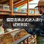 福厦高铁正式进入运行试验阶段!(图2) 福厦高铁正式进入运行试验阶段!(图2)