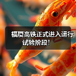 福厦高铁正式进入运行试验阶段!(图1) 福厦高铁正式进入运行试验阶段!(图1)