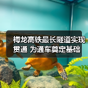 梅龙高铁最长隧道实现贯通 为通车奠定基础(图4) 梅龙高铁最长隧道实现贯通 为通车奠定基础(图4)