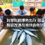 智慧赋能绿色出行 隧道智能改造与光伏供电创新实践(图4) 智慧赋能绿色出行 隧道智能改造与光伏供电创新实践(图4)