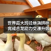 世界最大跨径悬浇拱桥完成合龙助力交通升级(图3) 世界最大跨径悬浇拱桥完成合龙助力交通升级(图3)