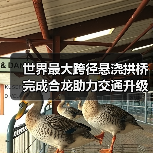 世界最大跨径悬浇拱桥完成合龙助力交通升级(图1) 世界最大跨径悬浇拱桥完成合龙助力交通升级(图1)