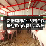 新疆鸣阳矿业战略合作推动矿山设备共赢发展(图4) 新疆鸣阳矿业战略合作推动矿山设备共赢发展(图4)