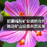 新疆鸣阳矿业战略合作推动矿山设备共赢发展(图2) 新疆鸣阳矿业战略合作推动矿山设备共赢发展(图2)