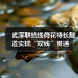 武深联络线荷花特长隧道实现“双线”贯通（图1）