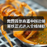 我国首条直通中越边境高铁正式进入全线铺轨阶段!(图3) 我国首条直通中越边境高铁正式进入全线铺轨阶段!(图3)