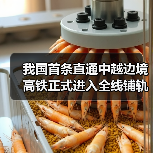我国首条直通中越边境高铁正式进入全线铺轨阶段!(图4) 我国首条直通中越边境高铁正式进入全线铺轨阶段!(图4)