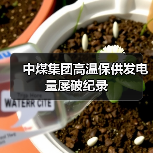 中煤集团高温保供发电量屡破纪录(图4) 中煤集团高温保供发电量屡破纪录(图4)