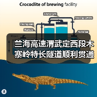 兰海高速渭武定西段木寨岭特长隧道顺利贯通（图1）