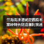 兰海高速渭武定西段木寨岭特长隧道顺利贯通（图2）