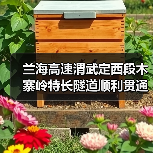 兰海高速渭武定西段木寨岭特长隧道顺利贯通（图4）