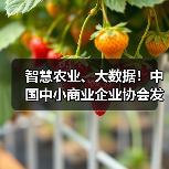 智慧农业、大数据！中国中小商业企业协会发布一批标准